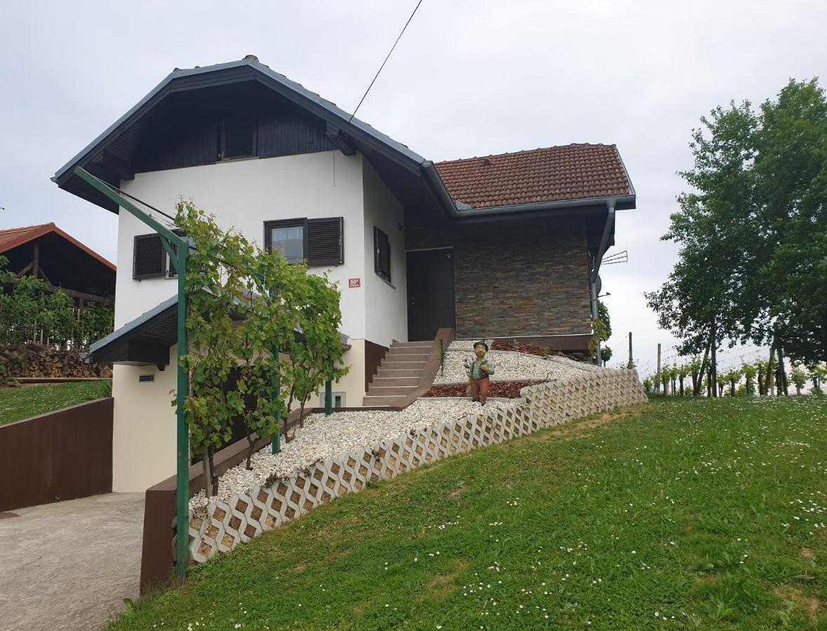 Zidanica Balantic Villa Dobrovnik Exterior foto