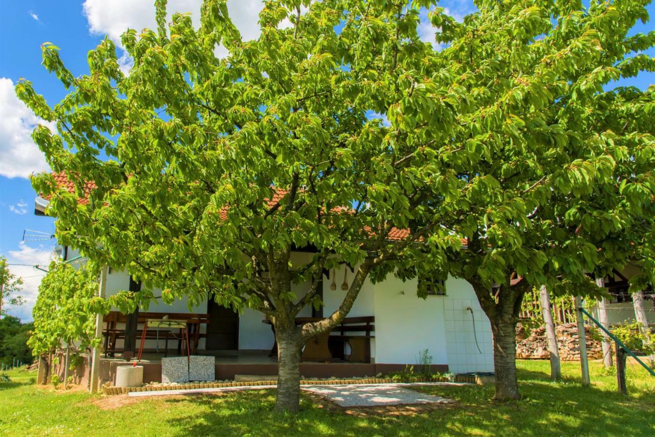 Zidanica Balantic Villa Dobrovnik Exterior foto